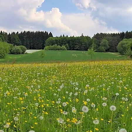 Heumanns Blockhaeuser Am Wald